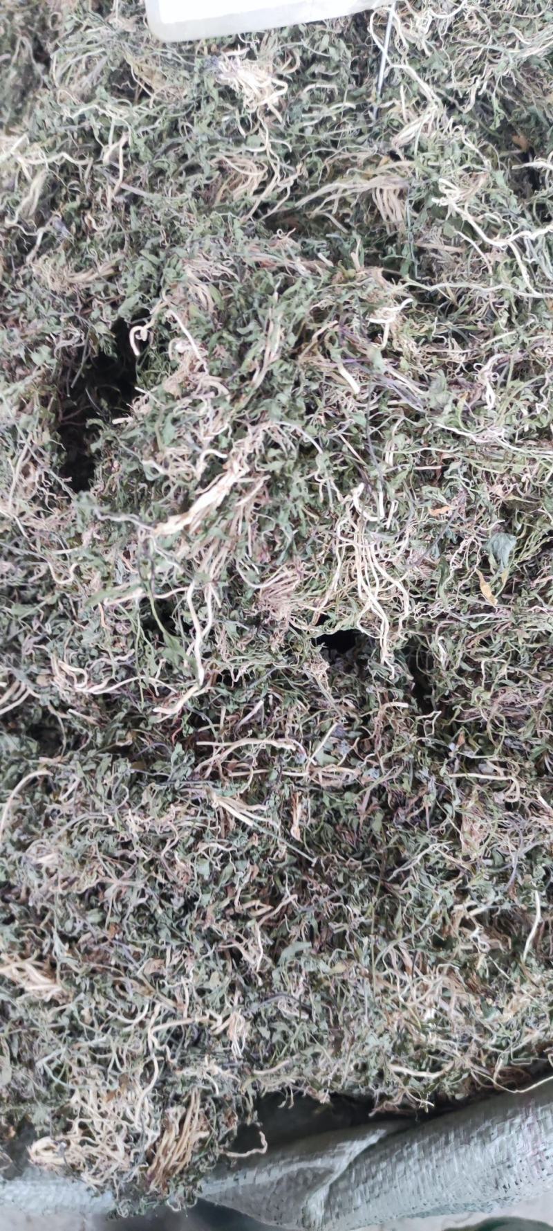 半边莲～水洗货新货～量大优惠～1公斤起售～欢迎咨询采购