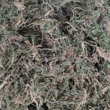 半边莲～水洗货新货～量大优惠～1公斤起售～欢迎咨询采购