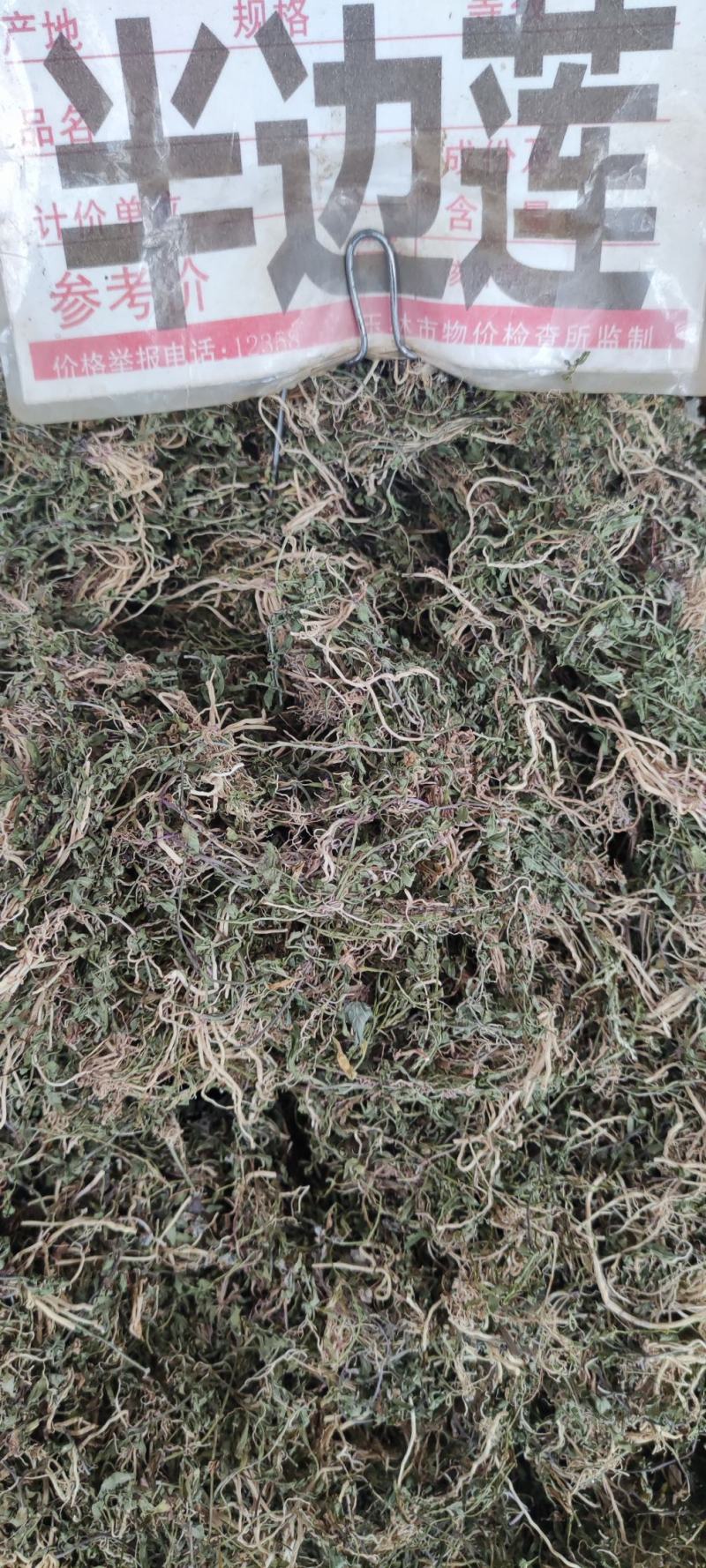 半边莲～水洗货新货～量大优惠～1公斤起售～欢迎咨询采购