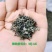 陕南绿茶