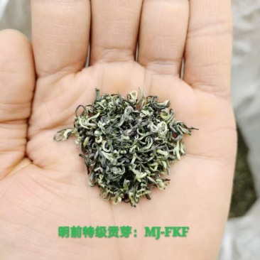 陕南绿茶