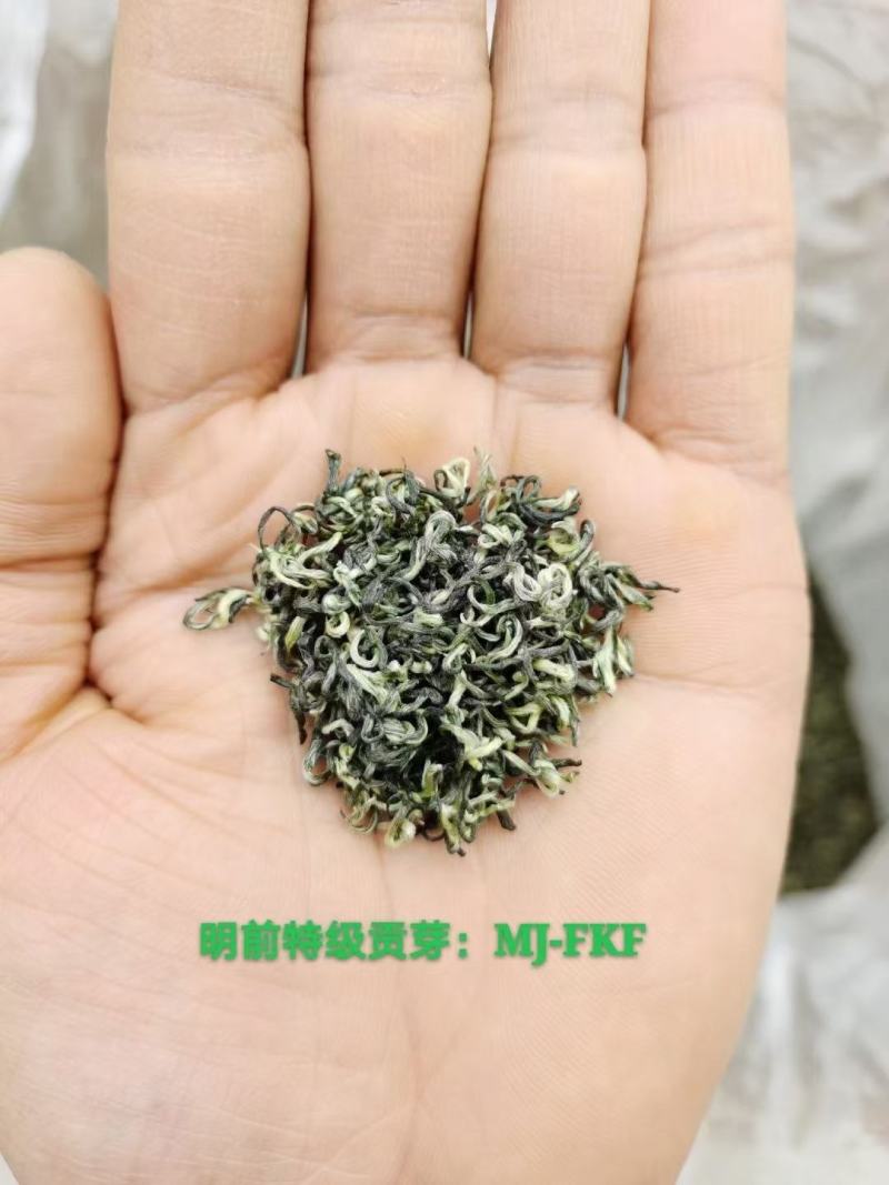 陕南绿茶
