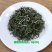 陕南绿茶