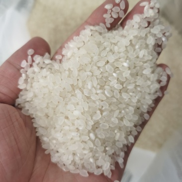 优质大米长期大量供应东北大米珍珠米秋稻花香田小町粳米