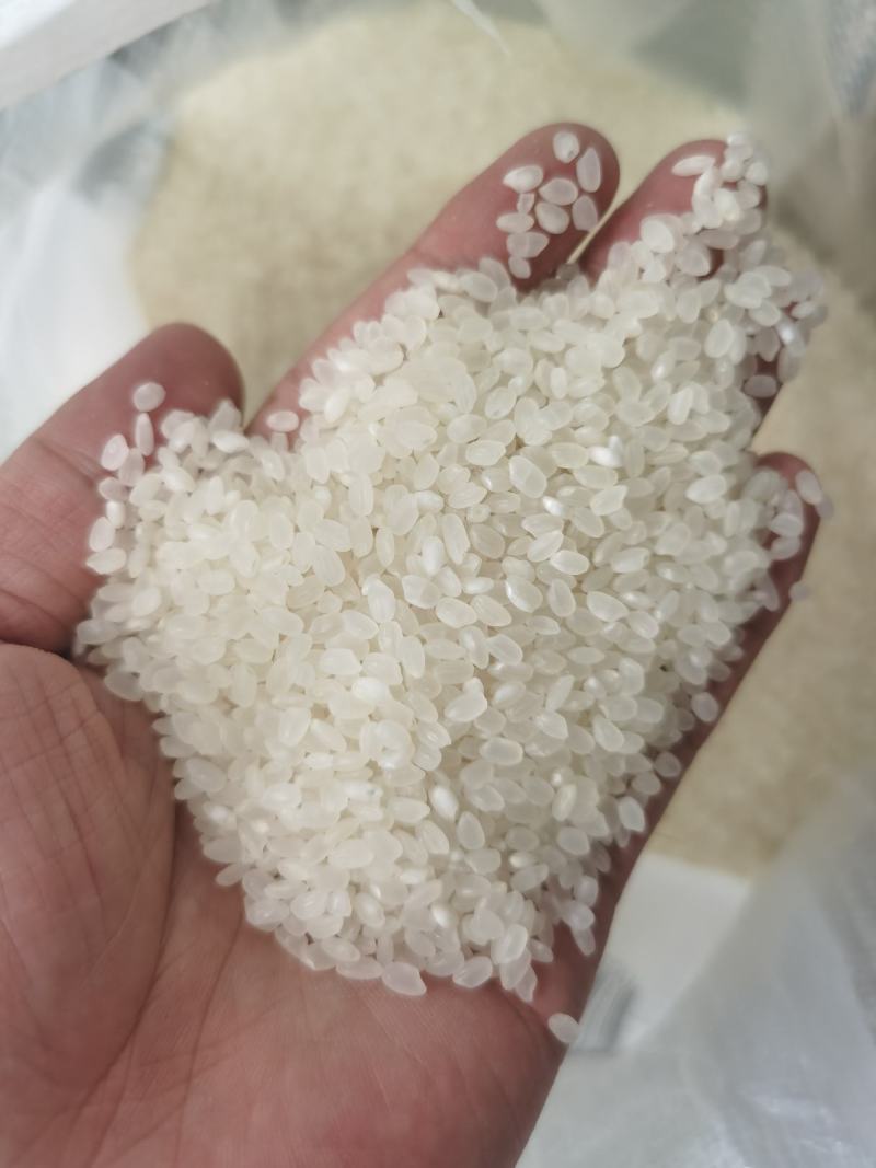 优质大米长期大量供应东北大米珍珠米秋稻花香田小町粳米
