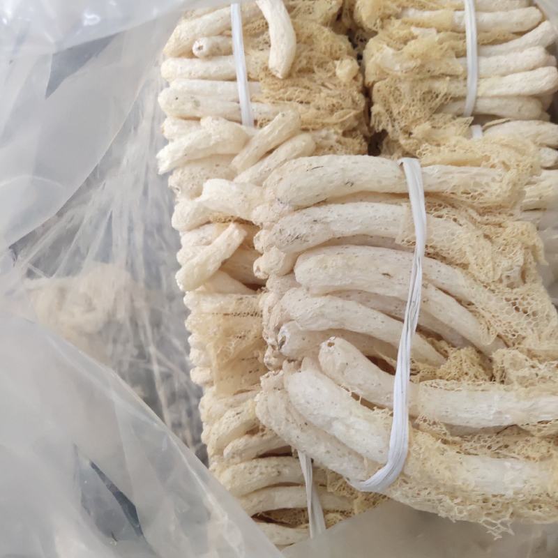 优质精选竹荪产地直发，量大从优一件代发，全国发货