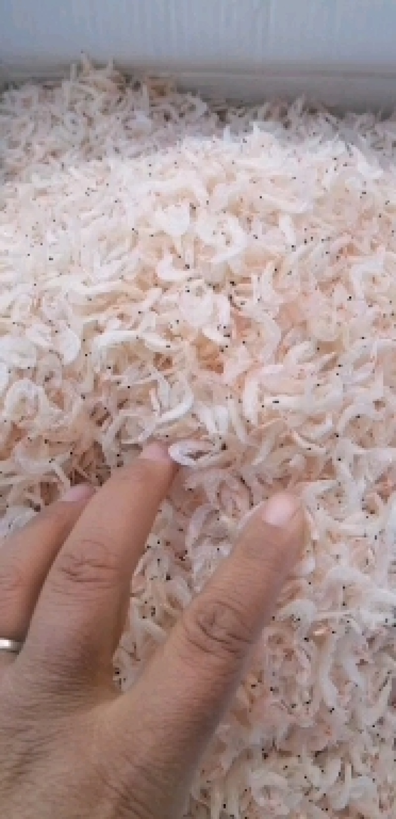 水晶虾皮，淡干无盐，好吃不咸，可以放心购买的好产品。