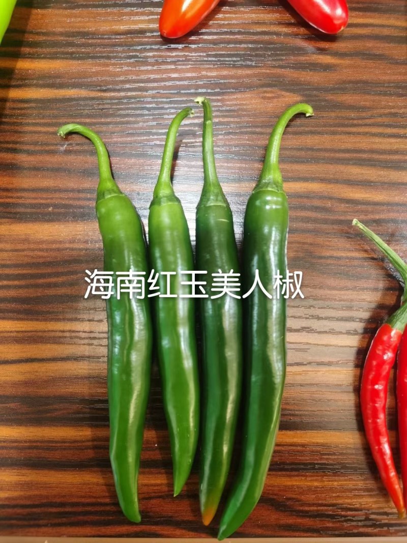 大果美人椒种子15到18厘米高产品质保证厂家发货