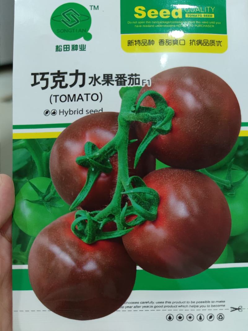 巧克力水果番茄种子，味甜含糖高11%左右，单果重230