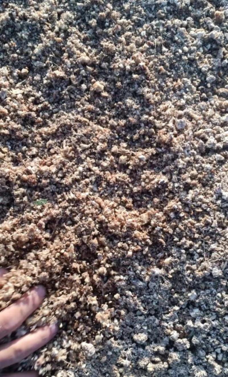 玉米芯青储饲料