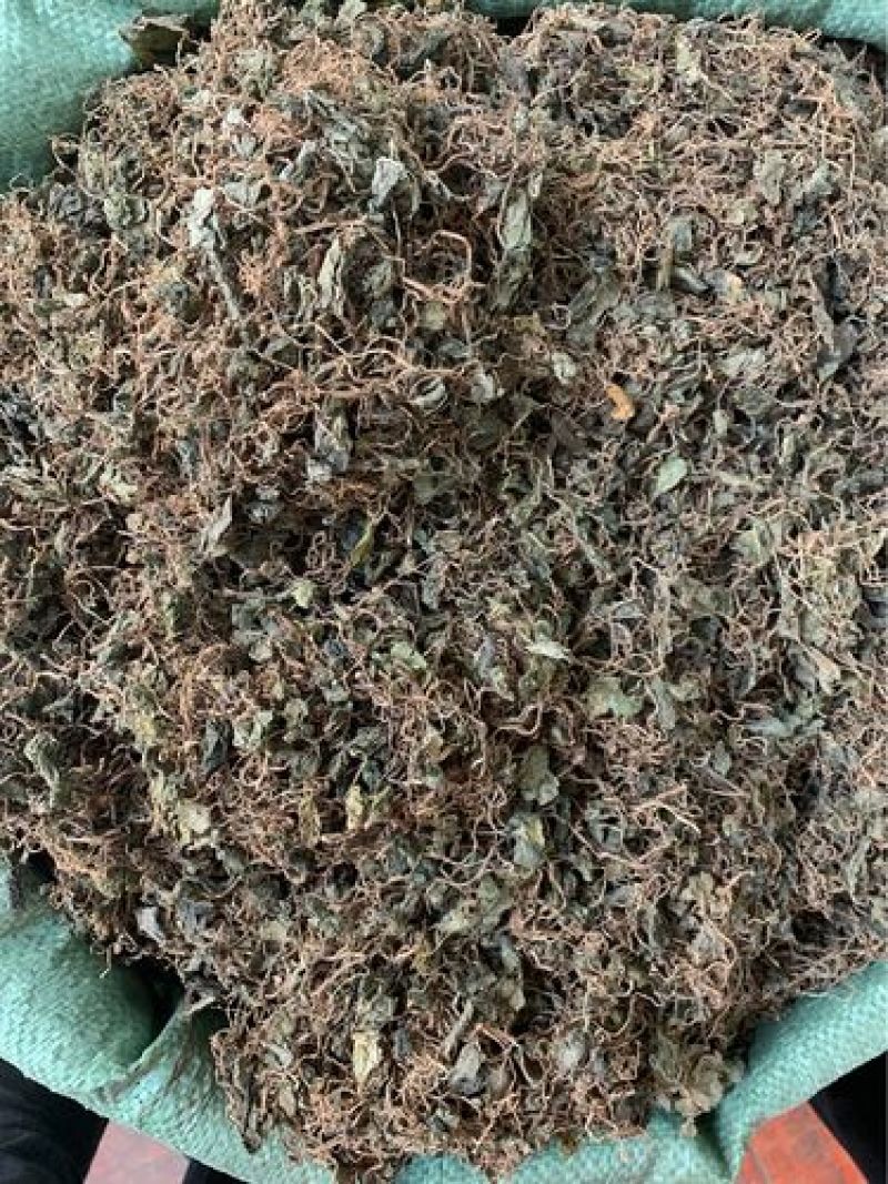 青天葵，正品野生青天葵质量保证，经营各种中药材！