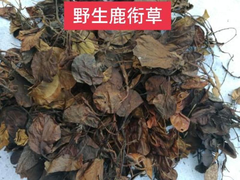 鹿衔草，野生正品无硫质量保证，经营各种中药材欢迎咨询选购