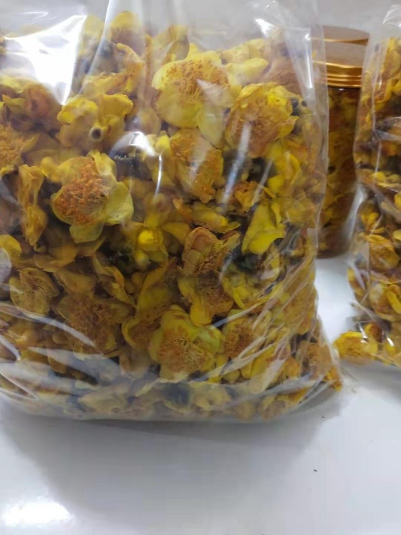 金花茶