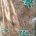 红雪茶干货红雪茶丝中药材冷背中药材专营量大从优