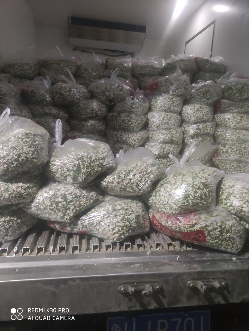 槐花，野菜，洋槐花，含苞待放花骨朵，可供商超，产地直供！