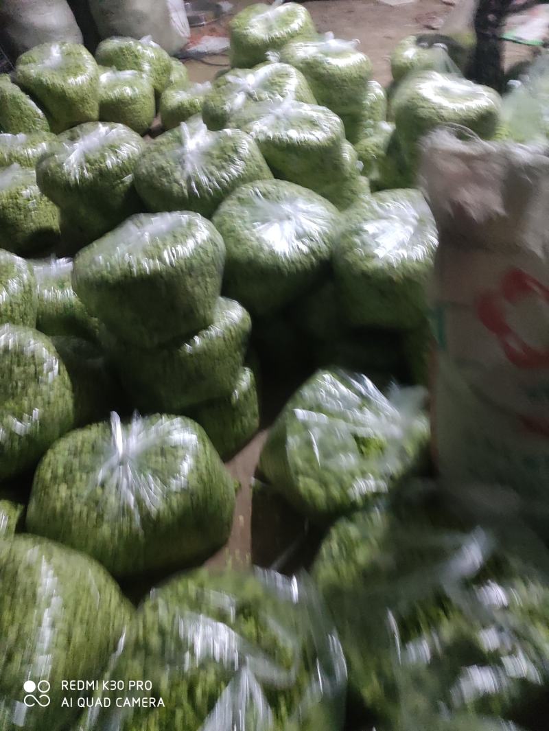 特菜，野菜，榆钱，榆树花，量大，产地直供，打冷发货！