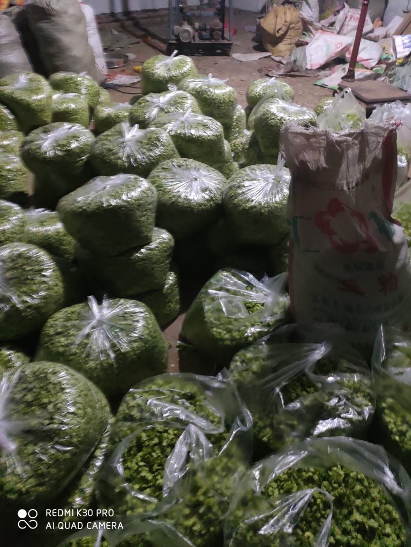 特菜，野菜，榆钱，榆树花，量大，产地直供，打冷发货！