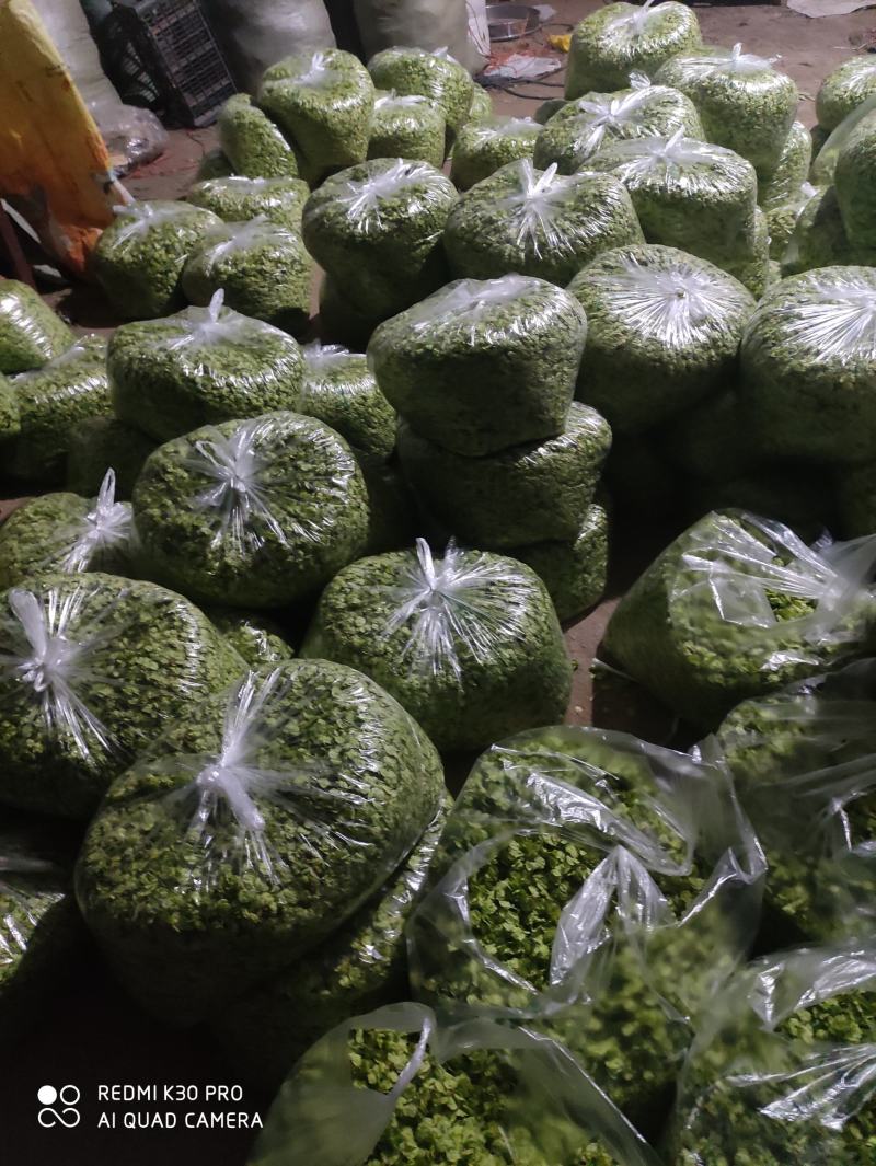 特菜，野菜，榆钱，榆树花，量大，产地直供，打冷发货！