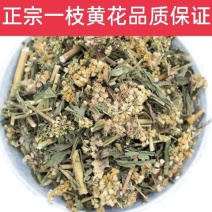 一枝黄花，正品野生一枝黄花质量保证，欢迎咨询选购！