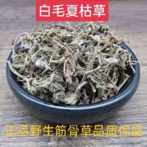 白毛夏枯草，筋骨草质量保证，经营各种中药材欢迎咨询选购！