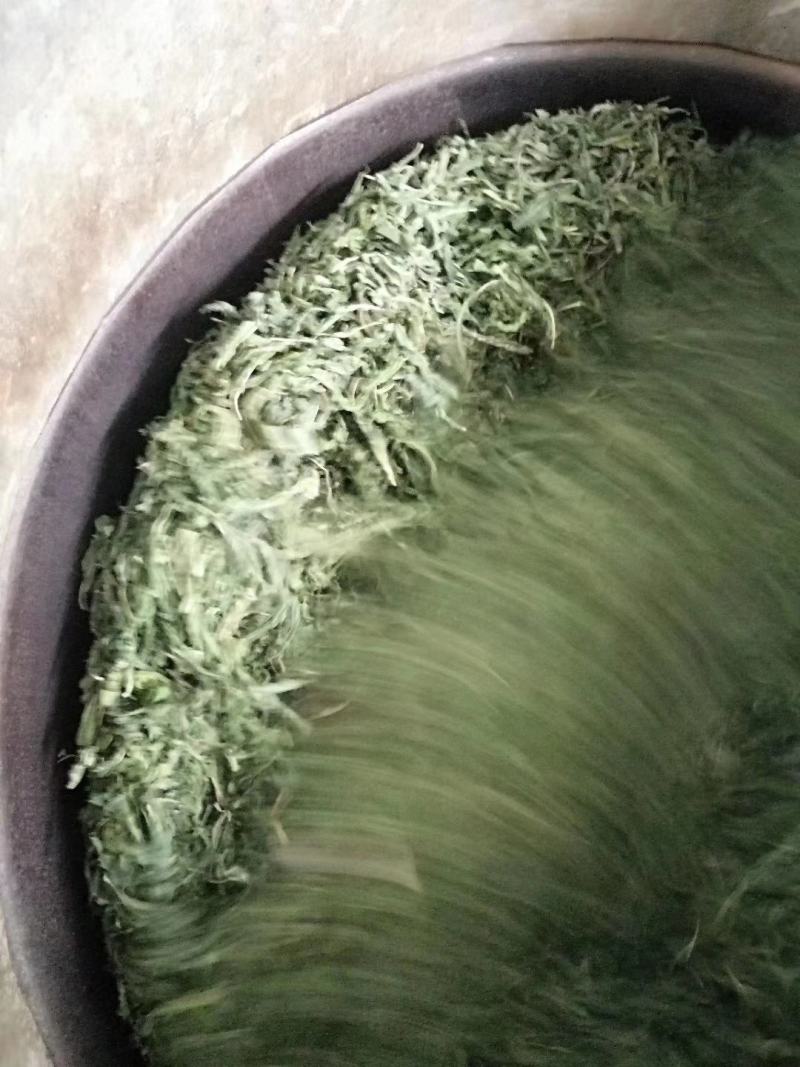 甜茶，金秀大瑶山一手货源，产地直发，量大价优
