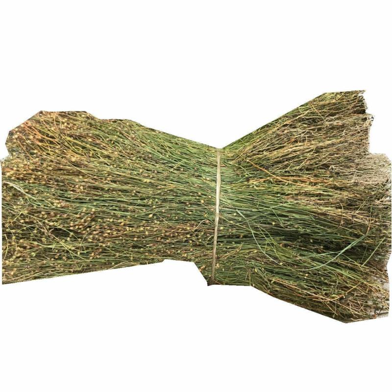 四叶莲冷背专营中药材干净无杂质量大从优！