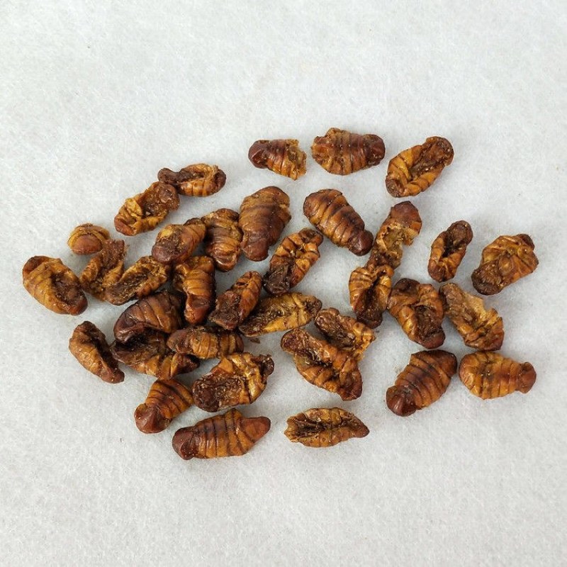 中药材蚕蛹干蚕蛹药用食用快递当天发货足斤足两