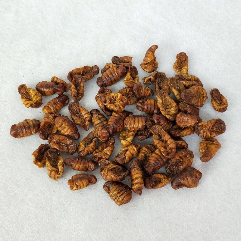 中药材蚕蛹干蚕蛹药用食用快递当天发货足斤足两