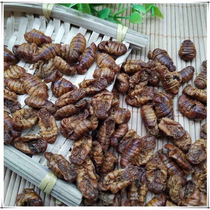 中药材蚕蛹干蚕蛹药用食用快递当天发货足斤足两