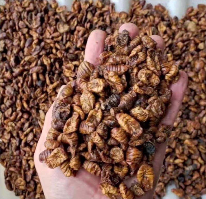 中药材蚕蛹干蚕蛹药用食用快递当天发货足斤足两