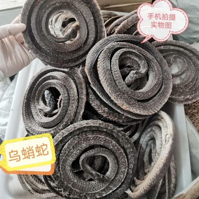 中药材乌梢蛇整条图片实拍当天发货质量保证药用