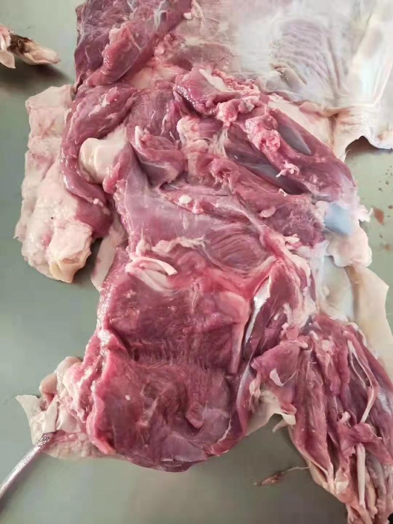 大羔羊排肉，腿肉，近期鲜冻无调理纯干，肉质很好