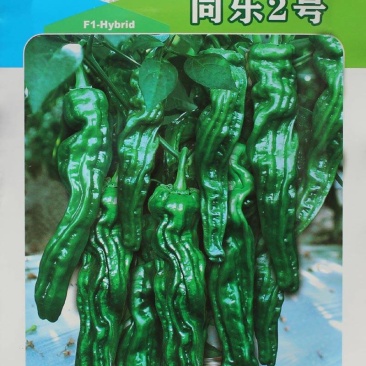 同乐2号皱皮椒薄皮香椒辣椒种子每袋一千粒包邮