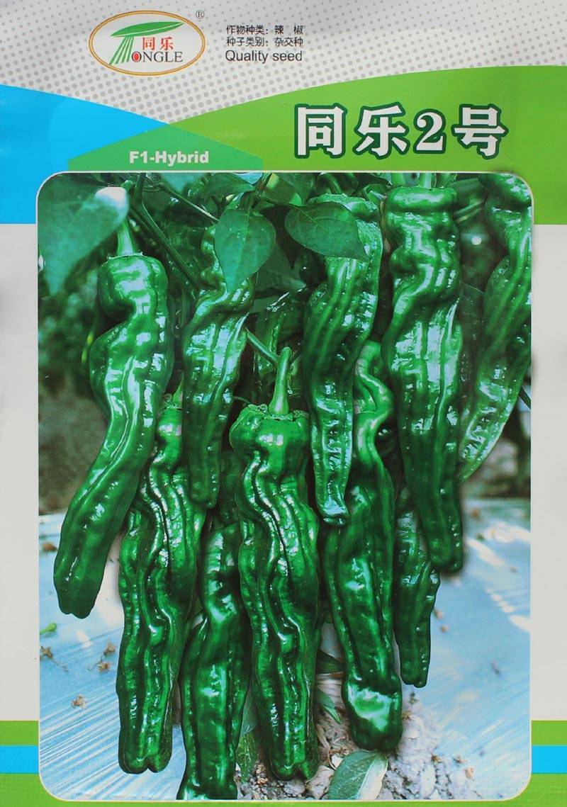同乐2号皱皮椒薄皮香椒辣椒种子每袋一千粒包邮