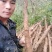 山药