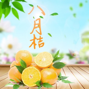八月桔，货源充足，，口感好，代办请找我小廖。