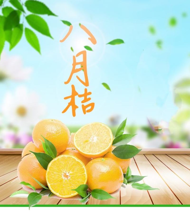 八月桔，货源充足，，口感好，代办请找我小廖。
