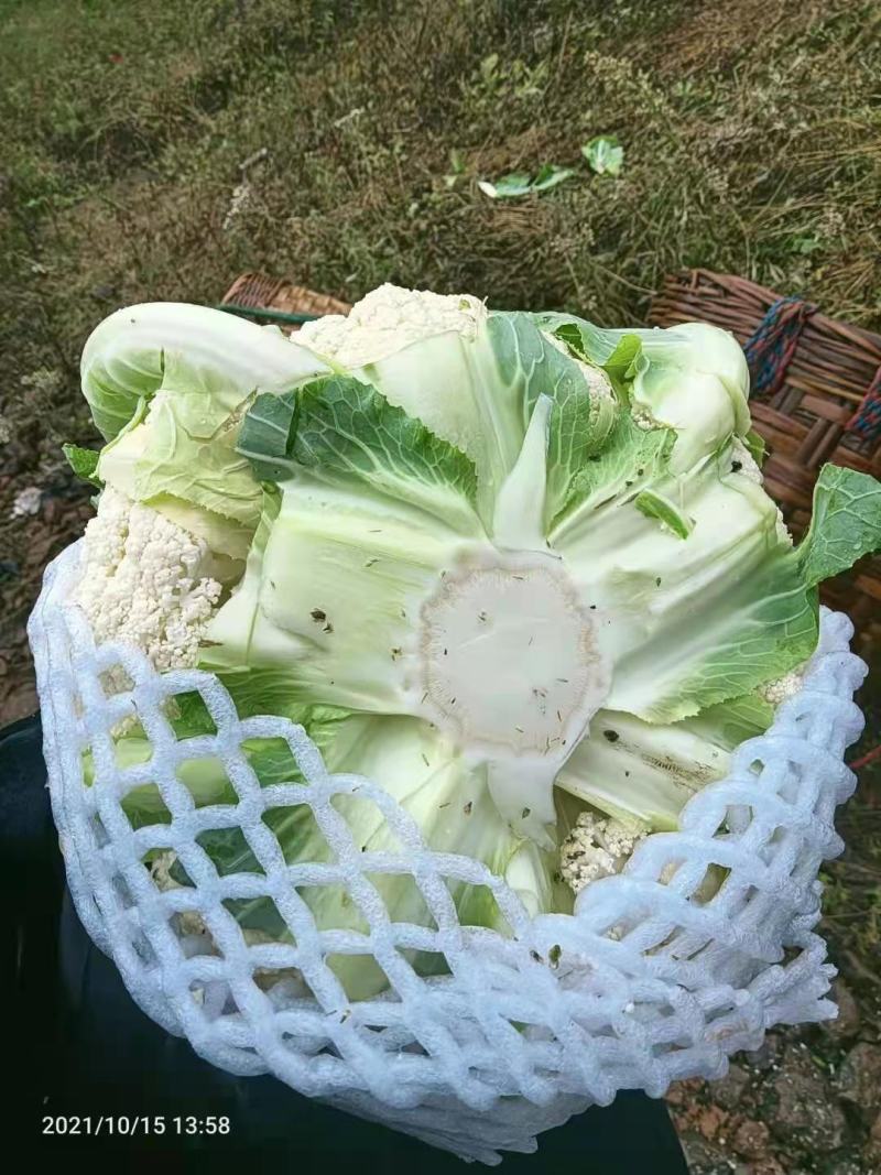 散花