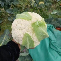 散花