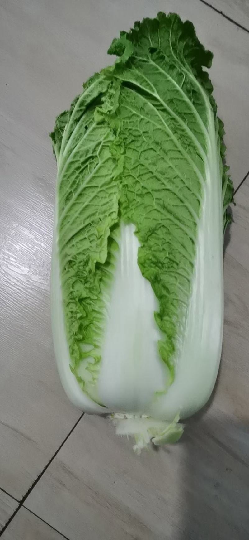 精品杠菜