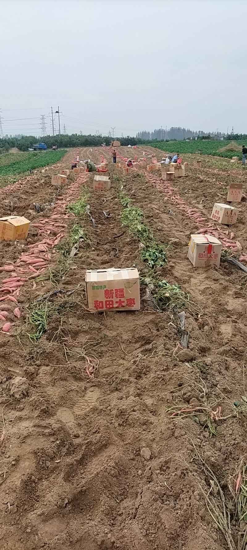 河北唐山市迁安市西瓜红，2两以上红皮红心。