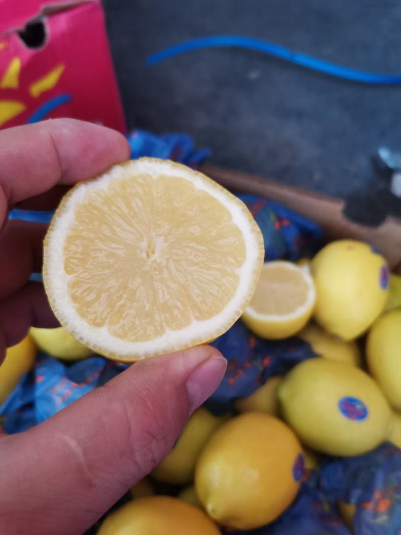 新鲜柠檬黄柠檬