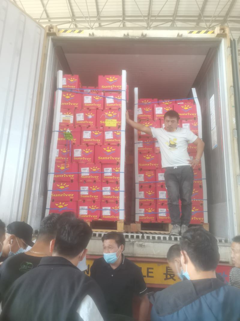 新鲜柠檬黄柠檬