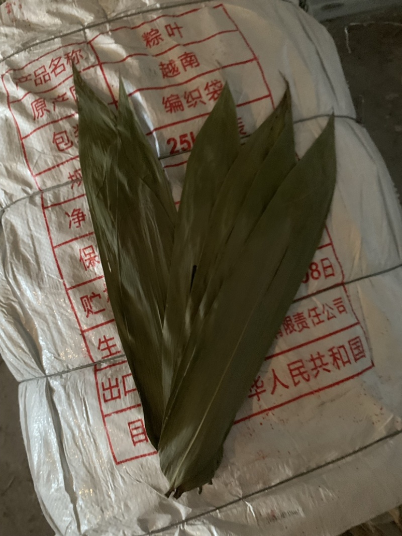 厂家直销新货粽叶大通货，越南麻竹叶若叶粑粑叶芦苇叶量大