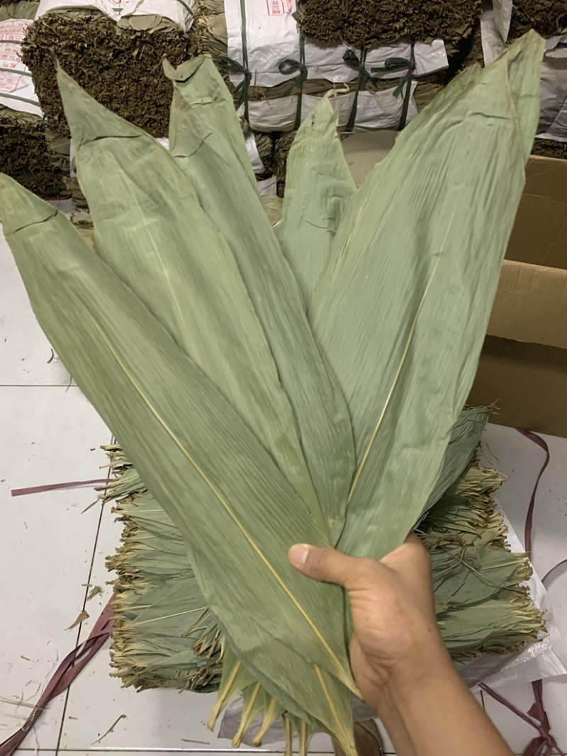 厂家直销新货粽叶大通货，越南麻竹叶若叶粑粑叶芦苇叶量大