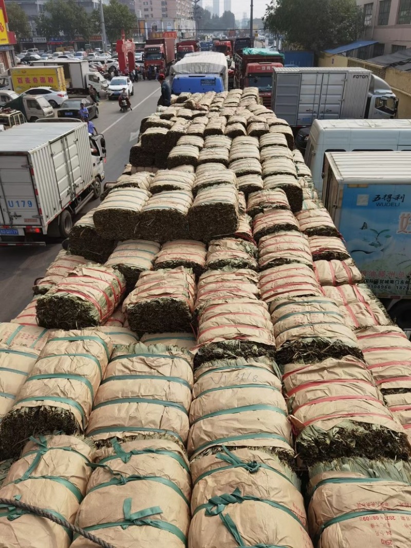 厂家直销新货粽叶大通货，越南麻竹叶若叶粑粑叶芦苇叶量大