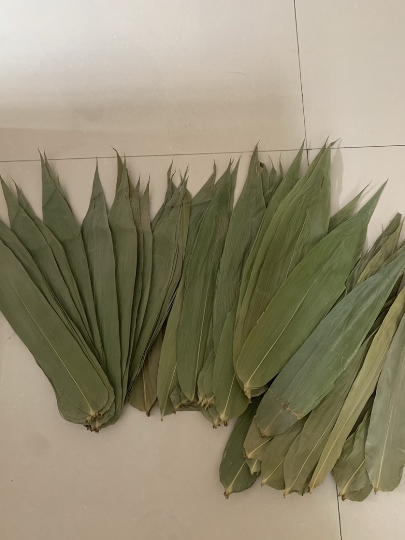 厂家直销新货粽叶大通货，越南麻竹叶若叶粑粑叶芦苇叶量大