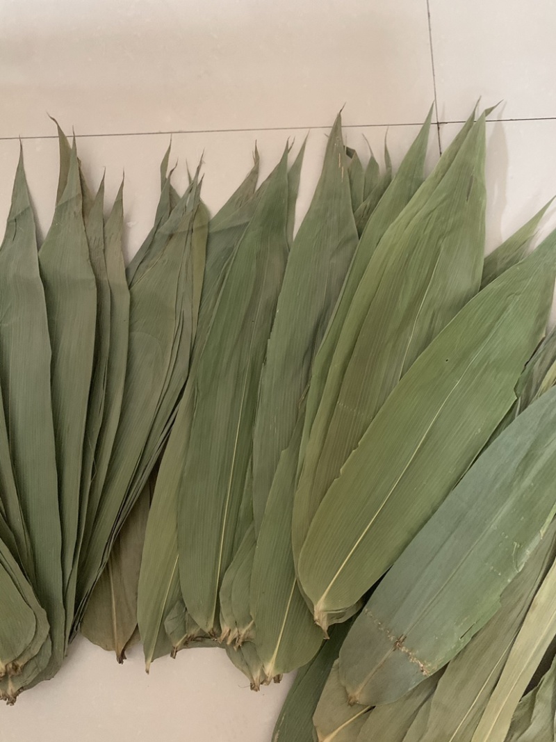 厂家直销新货粽叶大通货，越南麻竹叶若叶粑粑叶芦苇叶量大