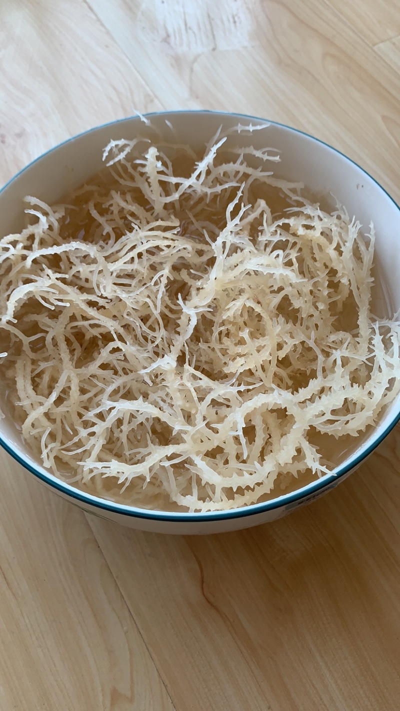 石花菜