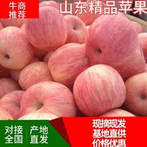山区红富士苹果口感脆甜多汁颜色好价格便宜全国货源充足